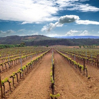LA RIOJA.jpg